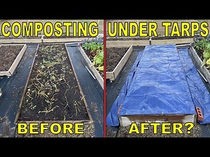 Cover Kitchen Scraps With A Tarp For 60 Days And THIS Happens!