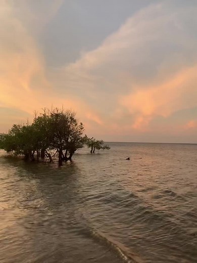 Open Arms SZA: Vibes untuk Senja yang Indah