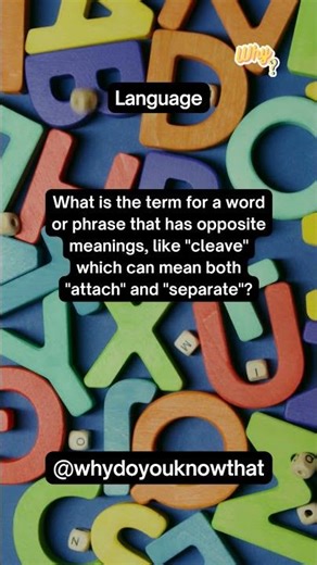 Do you know the answer of this fact? Random facts about anything and anything.