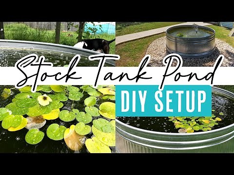 DIY Stock Tank Fish Pond | Full Setup Instructions