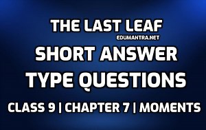 Class 9th The Last Leaf Short Question Answer