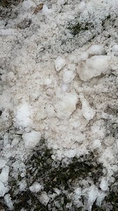 3.2K views · 37 reactions | Ready for yours? #umpire #baseball #softball | Ump Attire | Facebook