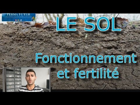 LE SOL : Fonctionnement et Fertilité