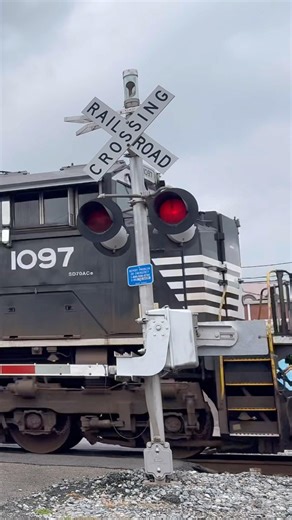 Great Horn At Corinth, MS (10/7/25) #Shorts