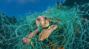 Planet or Plastic?