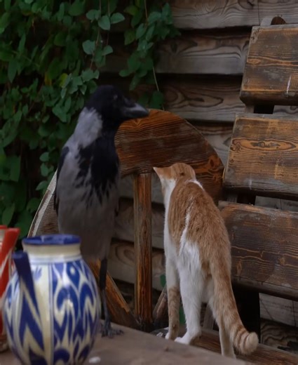 🍞🔥Homemade Cheese Bread 🍞🔥 | Chasity Hansen