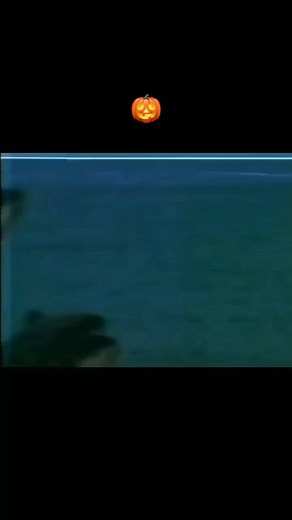 2.2K views · 29 reactions |  Zodiac Fighters (1978) Happy Animal Day * #spookymonth #fighter #fight #kungfu #martialarts #taiwan #jaws #animal #bizarre #terror #horror #horrormovie #filmesdeterror #trash #cinema #filmes #movies #peliculas #memes | Exploitation & CIA - Horror Memes | Facebook