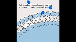 4.7K views · 92 reactions | New year, new energy—keep the party going...