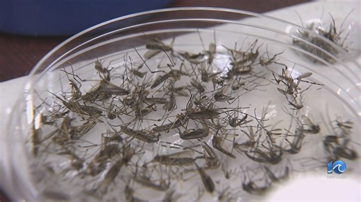 Suffolk mosquito control crews work as temps rise