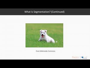 Python Deep Learning for Beginners: Semantic Segmentation|packtpub.com
