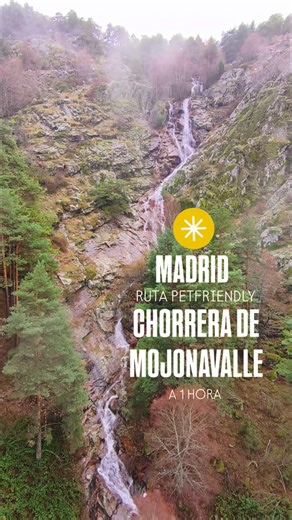 Daniel | Viajes | Rutas | Experiencias on Instagram: "🏔️Chorrera Mojonavalle🇪🇸Madrid La ruta senderista pet-friendly desde el área recreativa del Puerto de Canencia hasta la Chorrera de Mojonavalle es una opción ideal para disfrutar en compañía de tu mascota, ya que permite perros atados en este entorno natural de la Sierra de Guadarrama. Este recorrido circular de unos 5-7 km y baja dificultad comienza en el amplio parking del área recreativa, cruza la carretera hacia la Fuente de la Raja y 