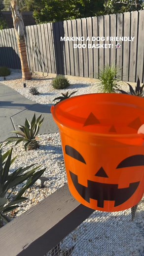 7.9K views · 33 reactions | Don’t forget to BOO your dogs! Got everything except the bandana from Petsmart & they had a lot on sale! #dogs #petcare #Halloween #boobasket #reelsfacebook | Tiny the American Bully | Facebook