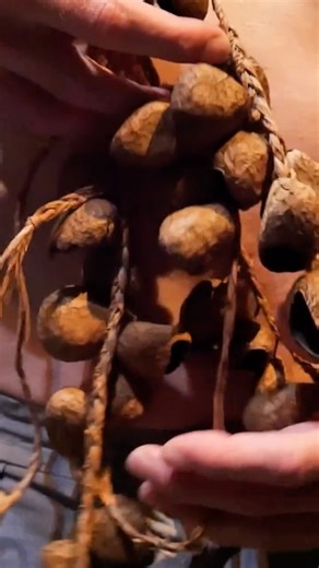 Valeria Saija on Instagram: "✨ What a night! ✨ Tonight we premiered our duo “Rêve” at @schouwburg.noord . It was an intense and emotional encounter with the audience — a moment we will carry with us for a long time. We are grateful for every hand, every eye, and every heart that helped shape this piece. 👥 Entirely Created & Performed by: Valeria Saija and Nicolas Vladyslav External eyes and incredible Dramaturg: @evaleocatharina With the support of: @charleroidanse @mestizoartsplatform @