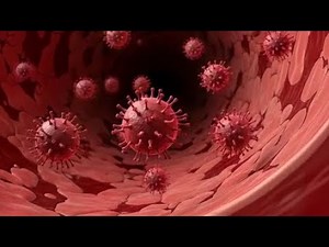 The Effects of Vaccination.... Good or Bad?