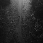 Exile/Taylor Swift ft. Bon Iver 歌詞和訳と意味