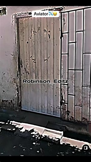 #fyp #goviral #foryoupage | aviator sound memes