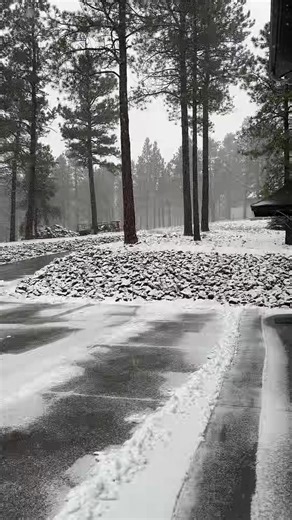 #snow well just a little