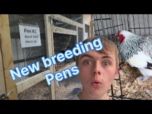 I built new breeding pens for my show chickens!!