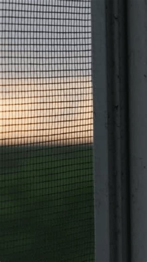 clip-4129075113-close-up-view-shows-fine-mesh-mosquito-screen-on