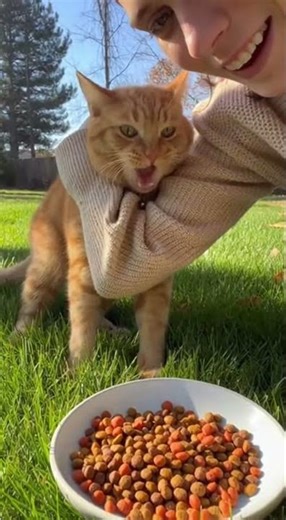 Cat Eats… Cat Burps!😂😸😍