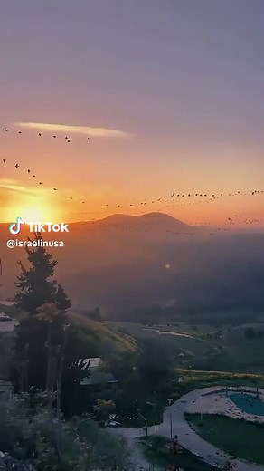 Did you know?! Over 500 million birds migrate through Israel every spring, making it one of the world’s busiest skyways due to its location as the junction between three continents (Europe, Asia, and Africa). 🎥 @will.the.weiser