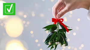 Verify: Yes, mistletoe and poinsettias are toxic