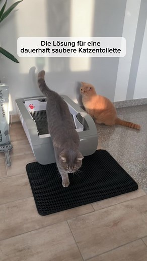 Selbstreinigende Katzentoilette für pflegeleichte Katzenliebe