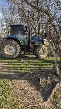 setting up the cattle. #beefmaster #angus #cattle #subscribe #animal #farm #cattlefarming