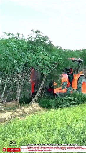 Best Innovative Cassava Harvester Machine for New Efficiency Farming