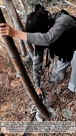 Smart Bamboo Cutting with a Portable Electric Tool! #shorts