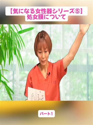 処女膜とは何か：女性器の基礎知識と誤解を解く