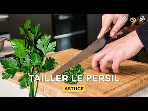 TUTO : COMMENT COUPER LE PERSIL