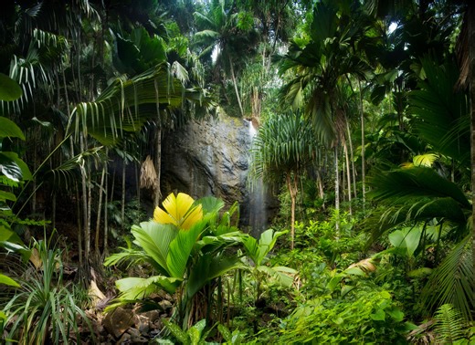 One million species are at risk of extinction, according to a new report - The Weather Network