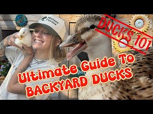 Ducks 101: What To Know BEFORE You Bring Them Home! | Beginner Duck Care Guide 🦆
