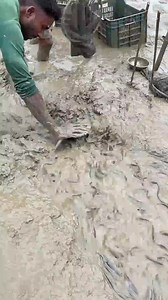 Fish Farming Technique | Roxie Smith