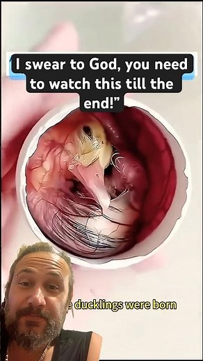 “Duckling Hatching Process”