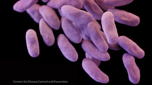 Understanding Drug-resistant Superbugs - Mayo Clinic News Network