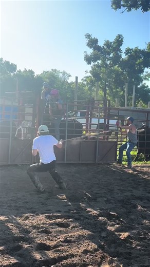 Rodeo Action: Bucking Bulls in Action