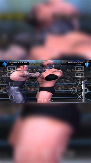 Undertaker vs Goldberg