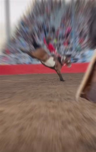 11K views · 261 reactions | Rocker Steiner and  S44 Dream Machine teamed up for an impressive 87-point ride last night during the third performance of the Rodeo of the Ozarks 鸞 #CowboyChannel #RodeoOfTheOzarks#CowboyChannel #RodeoOfTheOzarks #PRCA #Cervi | Cervi Championship Rodeo | Facebook