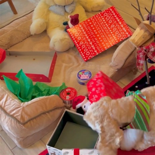 13K views · 16 reactions | 12 Days of Christmas Games - DAY 9:...