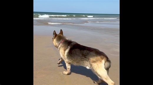 12K views · 1.3K reactions | Update on Riley As you know Riley is a...