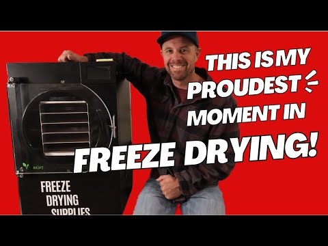 It's Been 8 Years of Youtube & It's Time to Give Back!