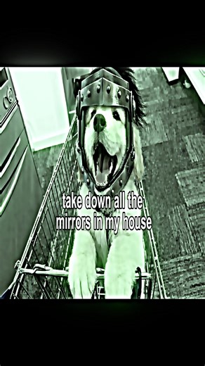 Puppy Knight Adventure: A Tale of Friendship