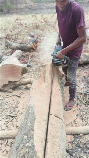 keil 85 cc chainsaw machine chirai test