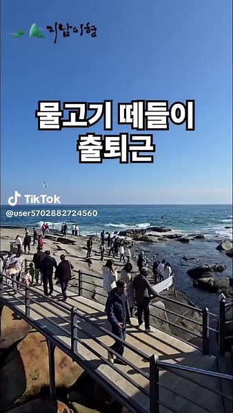 강원도 양양의 휴휴암: 물고기 떼와 바다