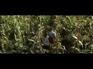 "Dear God, make me a bird. So I could fly far. Far far away from here."