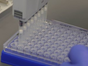 Next Generation Sequencing for the Detection of Actionable Mutations in Solid and Liquid Tumors