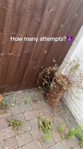 Flashing Lights: What You Need to Know