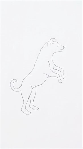 how to draw a jumping dog #shorts #dog #animal drawing #easy drawing